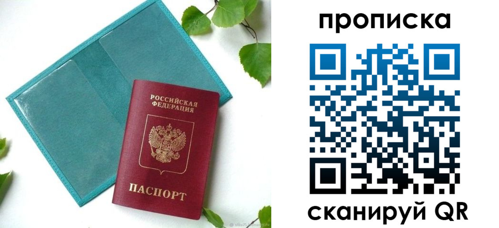 прописка штамп в Лузе